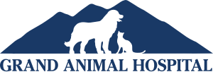Grand Animal Hospital